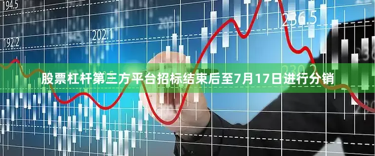 股票杠杆第三方平台招标结束后至7月17日进行分销