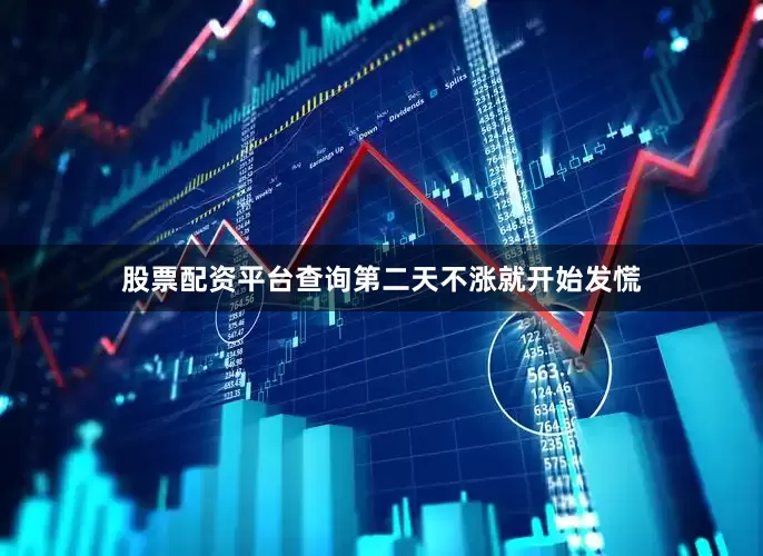 股票配资平台查询第二天不涨就开始发慌