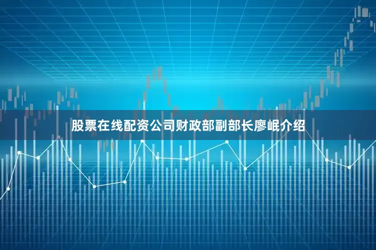 股票在线配资公司财政部副部长廖岷介绍